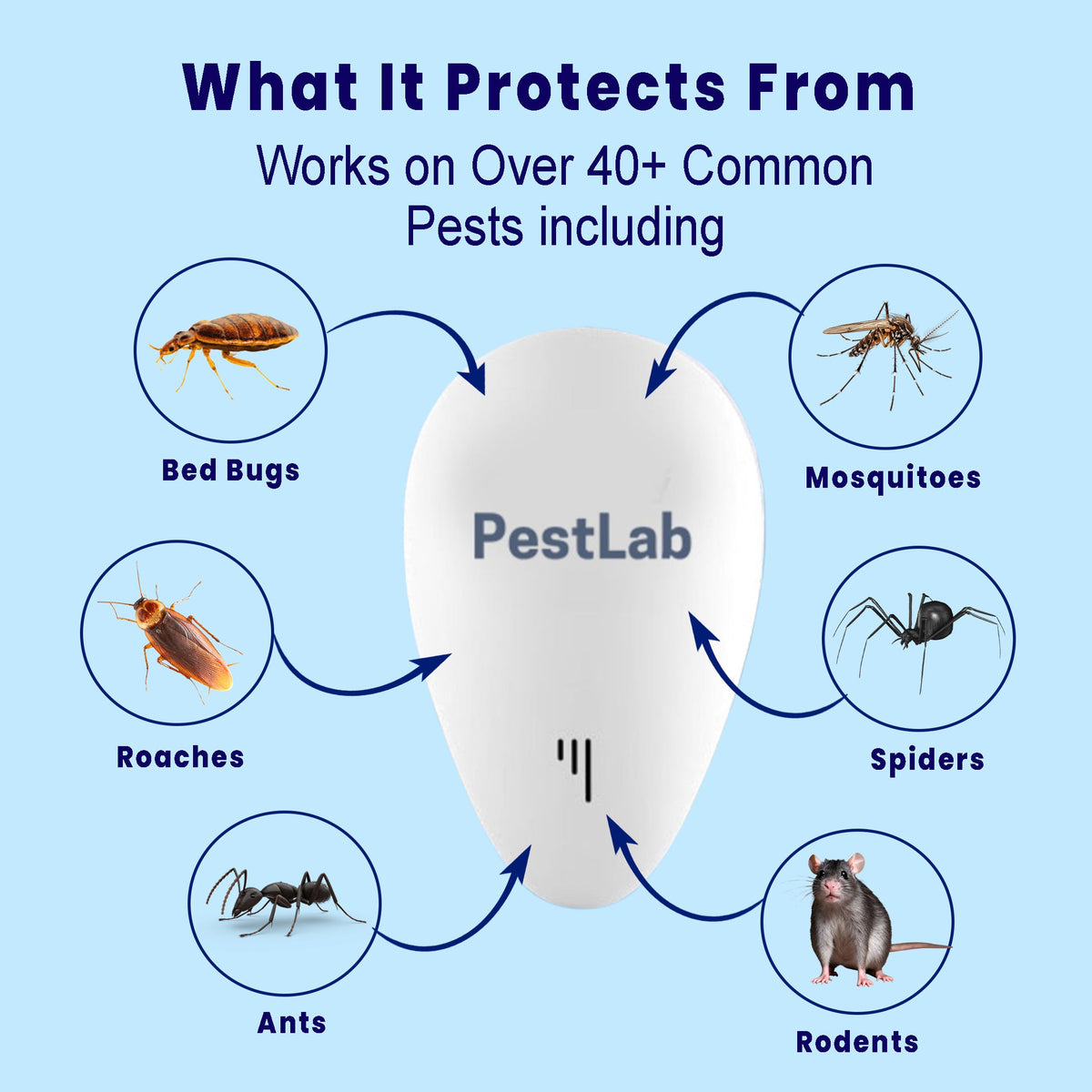PestLab™ - Banish Rodents For Good